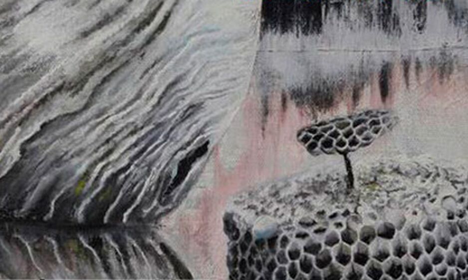 Veranstaltung: 20 Jahre Mohr-Villa Artothek