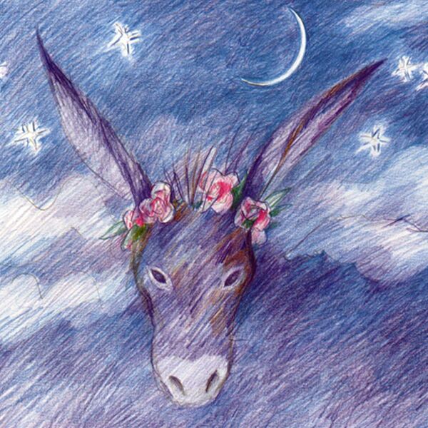 Veranstaltung Mohr-Villa: Ein Sommernachtstraum