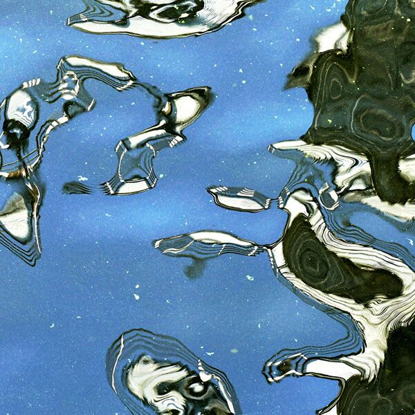 Veranstaltung Mohr-Villa: WasserBlicke. Spiegelungen – Oberflächen – Strukturen