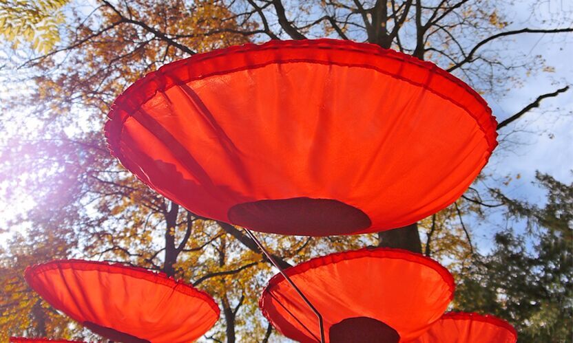 „Wo sind sie geblieben, die Mohnblumen vom Königsplatz?“