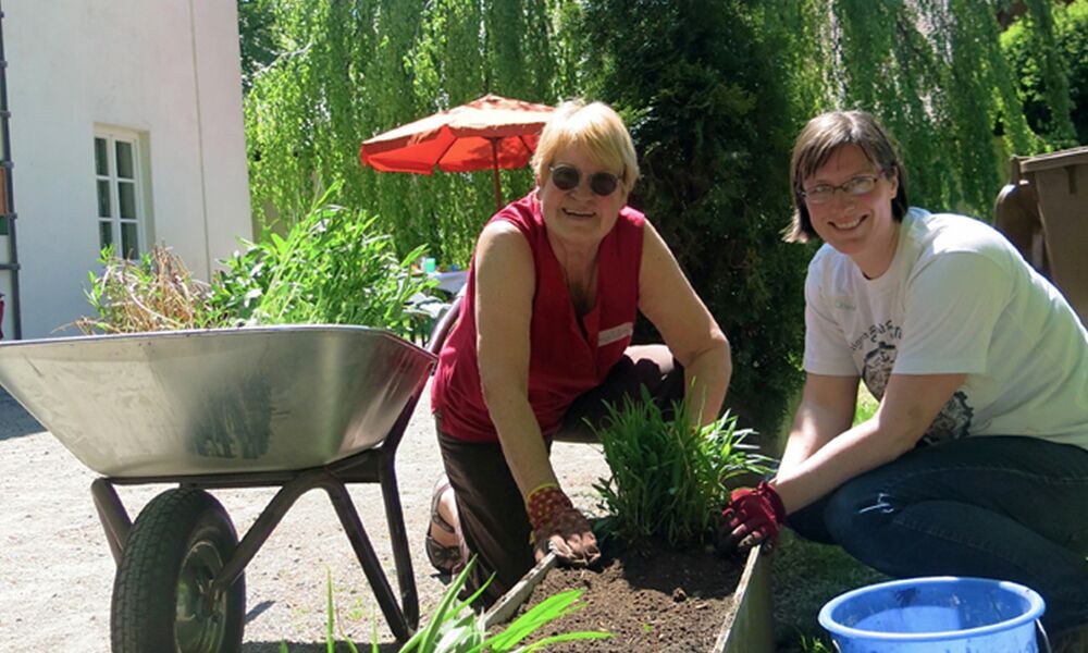 Die Mohr-Villa pflanzt an