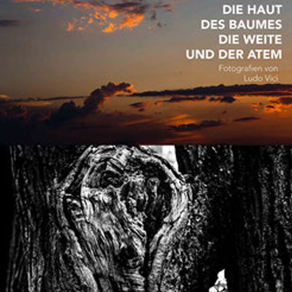 Veranstaltung Mohr-Villa: Die Haut des Baumes, die Weite und der Atem