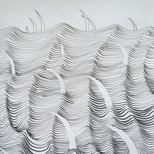 Veranstaltung: Sinnliche Oberflächen der Natur