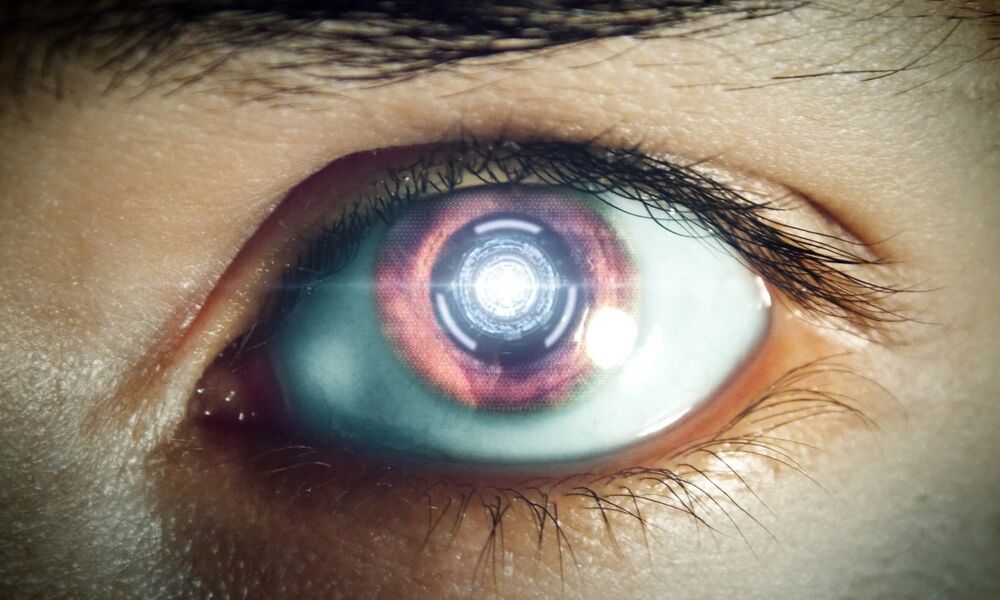 Veranstaltung: The End of Meat - Eine Welt ohne Fleisch