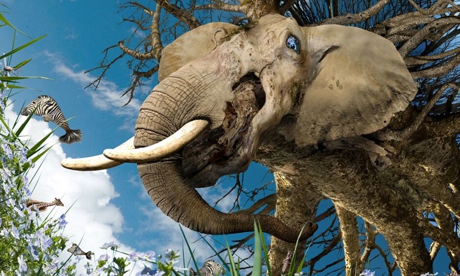 Veranstaltung: Leviathan