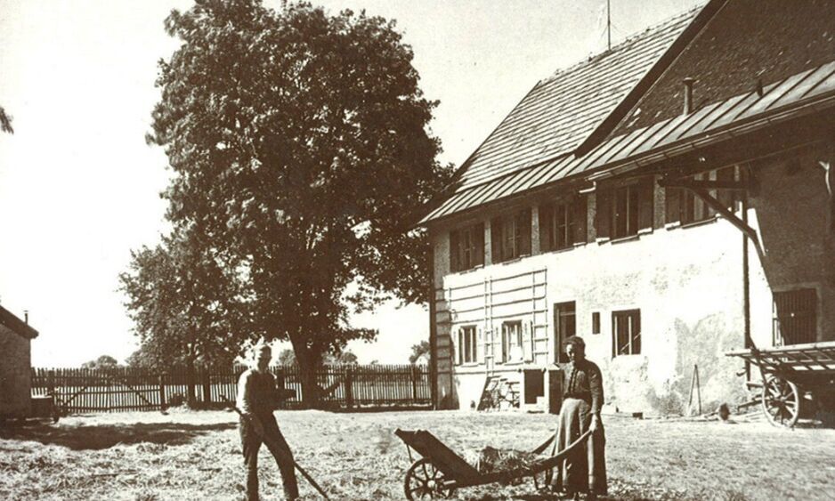 Freimanner Hofgeschichten