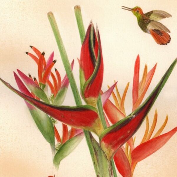 Veranstaltung Mohr-Villa: Kunst mit und aus der Natur