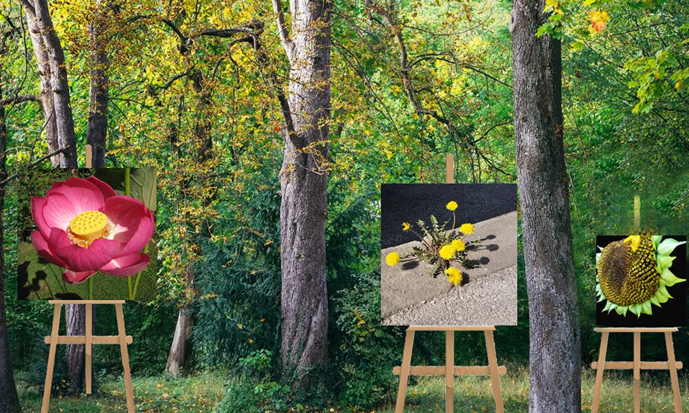 Veranstaltung: UEBER LEBENs KUNST