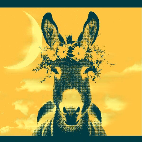 Veranstaltung Mohr-Villa: Ein Sommernachtstraum