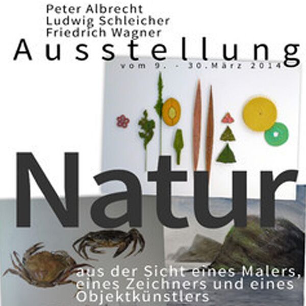 Veranstaltung Mohr-Villa: Natur