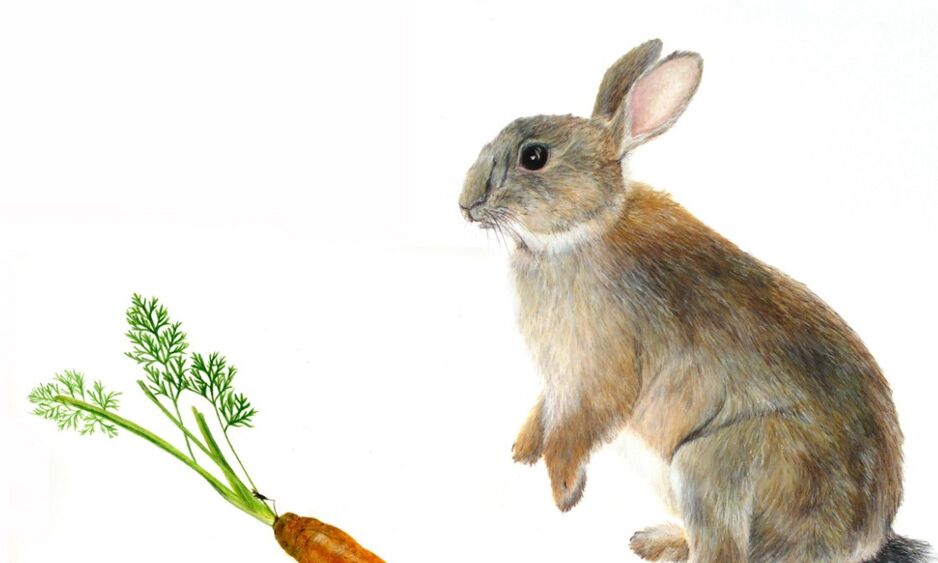 Veranstaltung: Kunst mit und aus der Natur