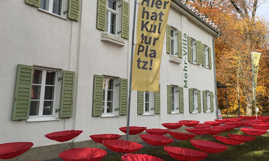 Die Mohnblumen sind zurück