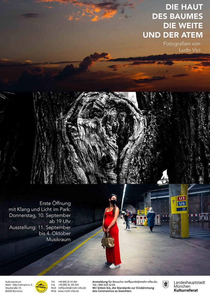 Plakat zur Veranstaltung: Die Haut des Baumes, die Weite und der Atem