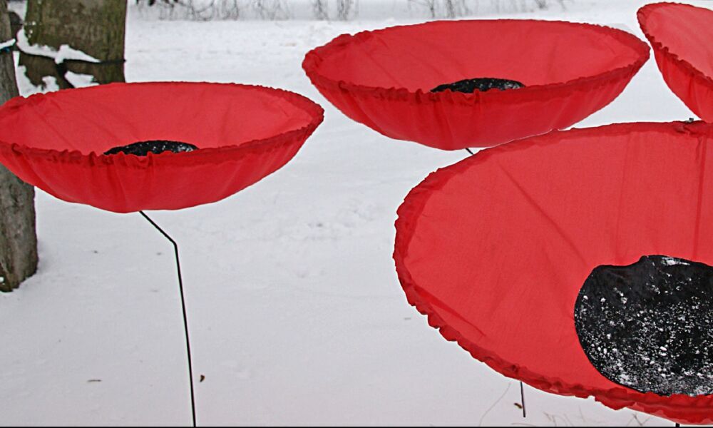 Never Again - Niemals Wieder