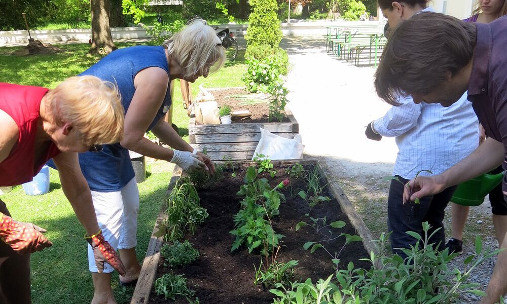 Die Mohr-Villa pflanzt ab