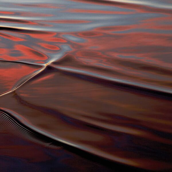 Veranstaltung Mohr-Villa: Water­dimensions