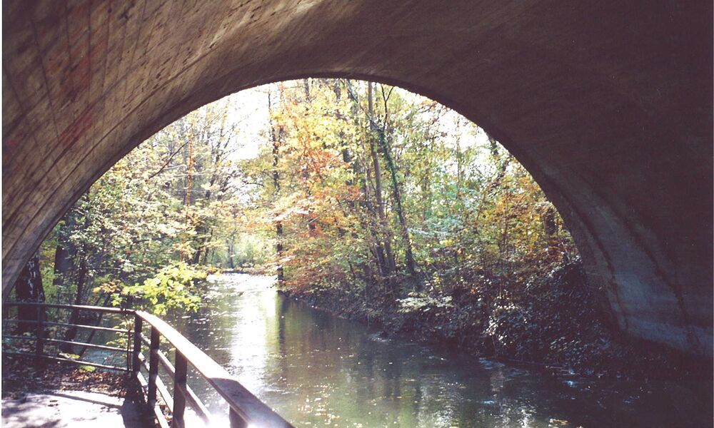 Exkursion zu den Bachläufen in Freimann