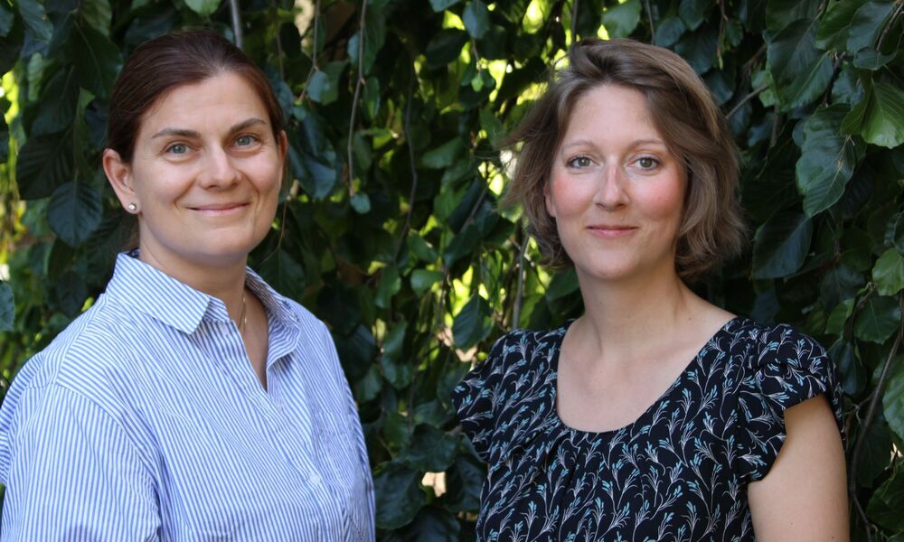 Kultur picknickt - Im Herbst wehen die Blätter