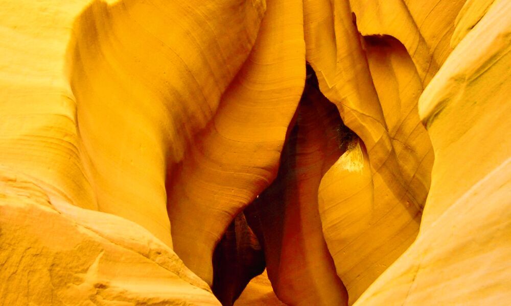 Die Darstellung der Vulva in der Kunst der Renaissance bis heute