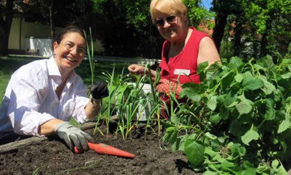 Veranstaltung: Mohr-Villa pflanzt an 2016