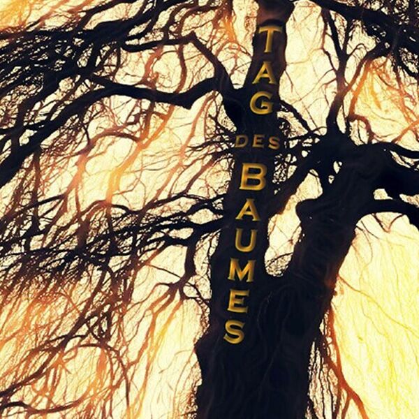 Veranstaltung Mohr-Villa: Bäume und Menschen