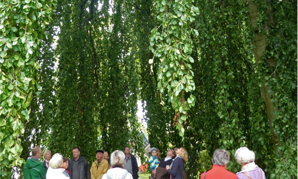 Licht aus, Spot an! Denkmal-Talente auf großer Bühne