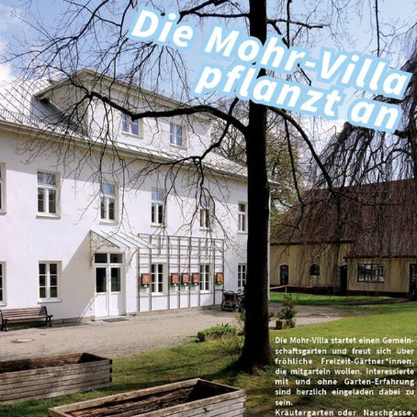 Veranstaltung Mohr-Villa: Mohr-Villa pflanzt an 2016