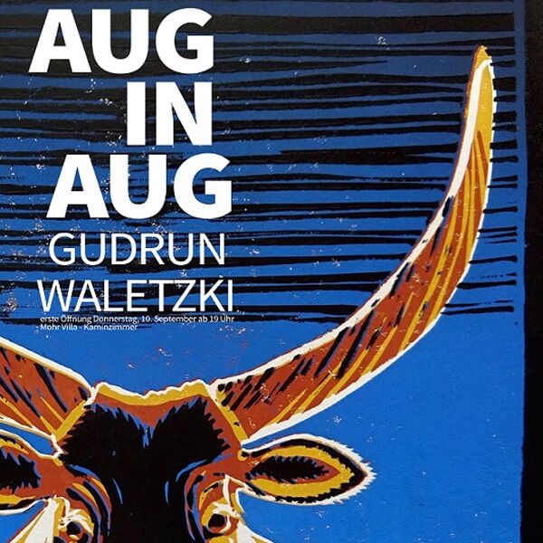 Veranstaltung Mohr-Villa: Aug in Aug