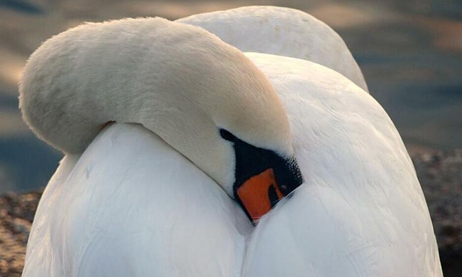 Veranstaltung: Naturfotografie