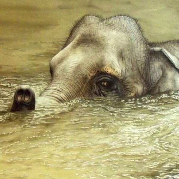 Veranstaltung Mohr-Villa: Vielfelltig