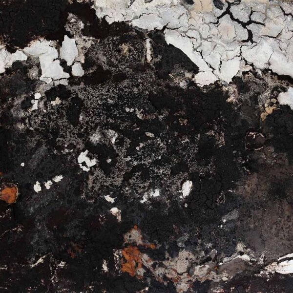 Veranstaltung Mohr-Villa: Traumfänger