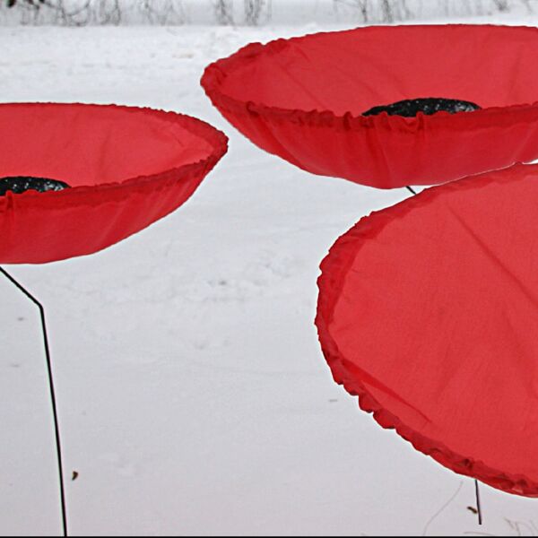 Veranstaltung Mohr-Villa: Never Again - Niemals Wieder