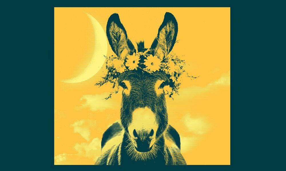 Ein Sommernachtstraum