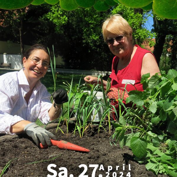 Veranstaltung Mohr-Villa: Die Mohr-Villa pflanzt ab