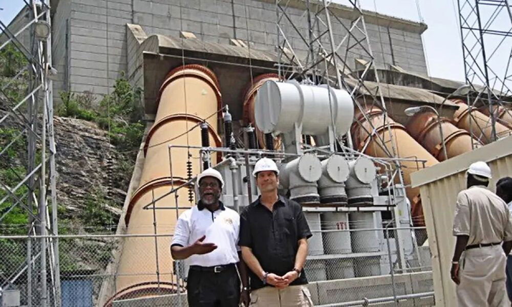 Wenn Elefanten kämpfen leidet das Gras