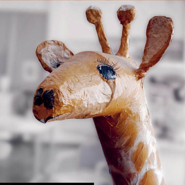 Veranstaltung Mohr-Villa: Ein Himmel voller Tiere