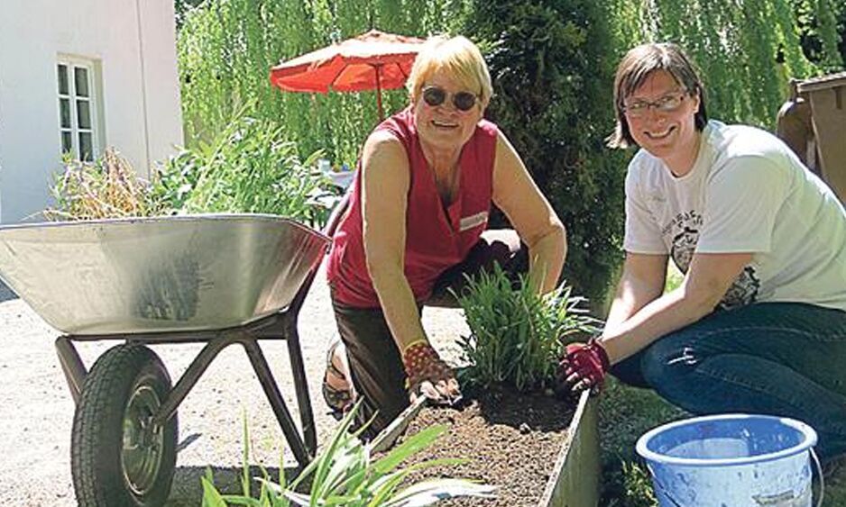 Die Mohr-Villa pflanzt an