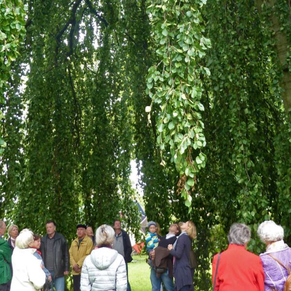 Veranstaltung Mohr-Villa: Licht aus, Spot an! Denkmal-Talente auf großer Bühne