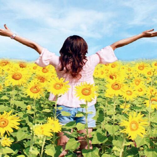 Blaues Kreuz München e.V.