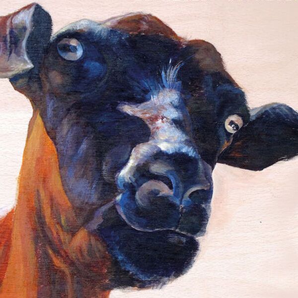 Veranstaltung Mohr-Villa: Fröttmaninger Portraits