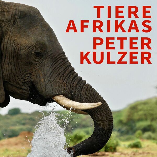 Veranstaltung Mohr-Villa: Tiere Afrikas