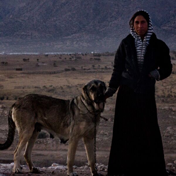 Veranstaltung Mohr-Villa: Views of Perspective