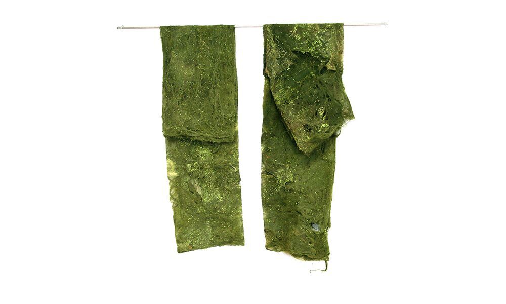 Ausstellung: LOOK AT ME – I AM NATURE