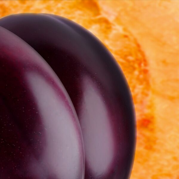 Veranstaltung Mohr-Villa: Kunst im Rahmen: Feinkost