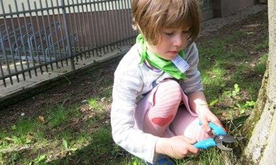 Veranstaltung: Mohr-Villa pflanzt an 2017